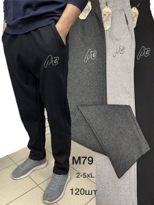 Спортивные штаны мужские Н М-79